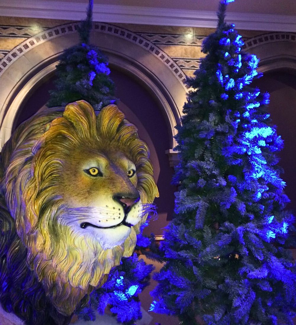 Narnia Themed Party